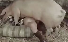 beastiality videos, zoophilia fuck porn